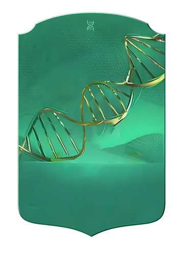 Evolutions EAFC 24